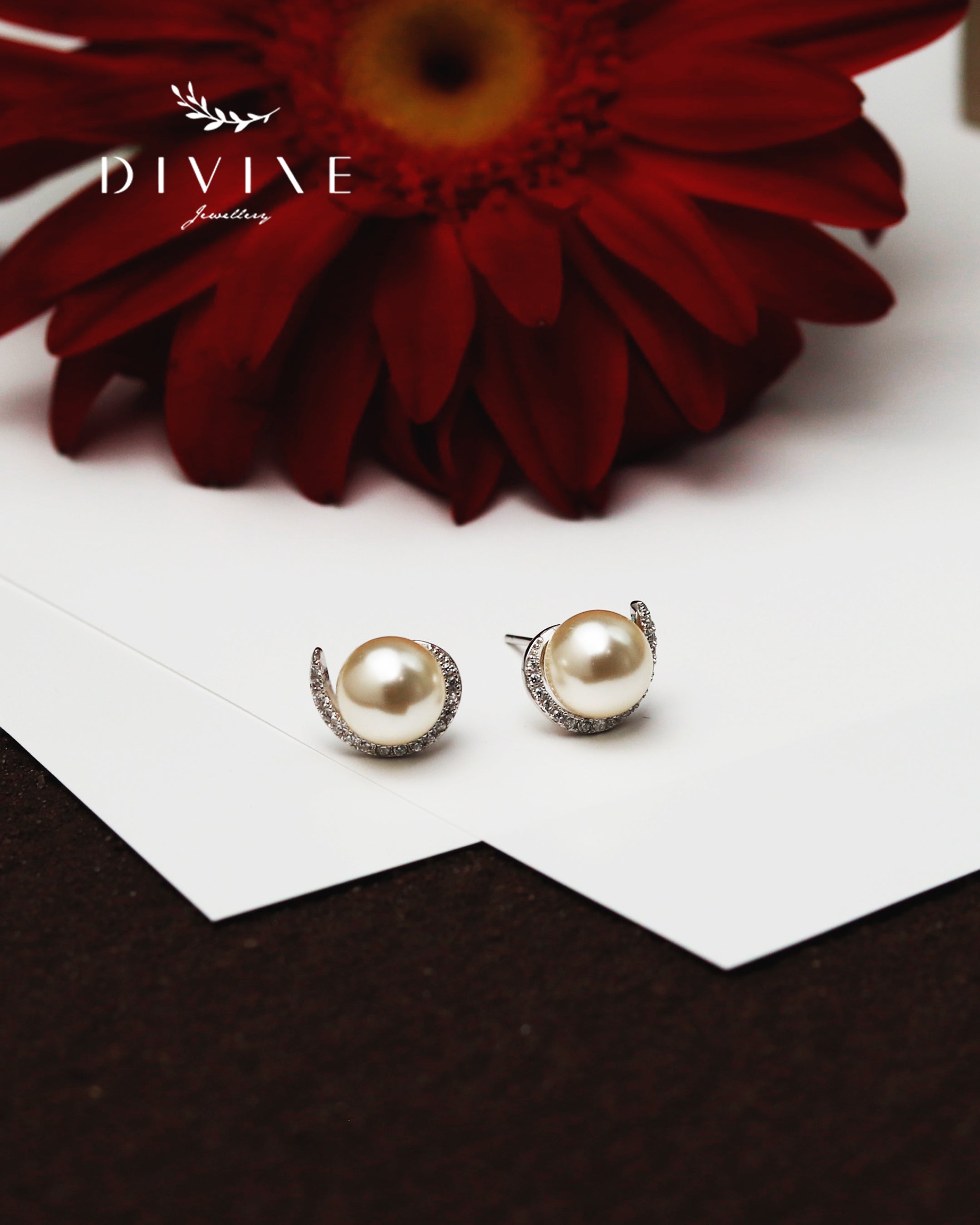 Silver Set 092
