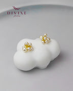 Silver earrings 197