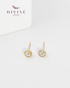 Silver Set 081