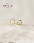Silver earrings 161