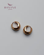 Silver earrings 166