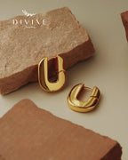Silver earrings 174