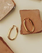 Silver earrings 176