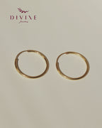 Silver earrings 132