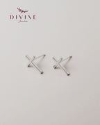 Silver earrings 141