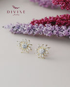 Silver earrings 157