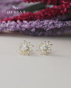 Silver earrings 157