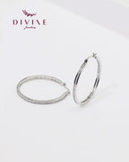 Silver earrings 100