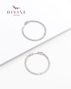 Silver earrings 102