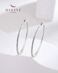 Silver earrings 102