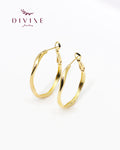 Silver earrings 105