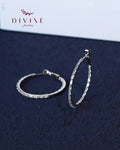 Silver earrings 112