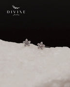 Silver Set 056
