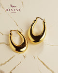 Silver earrings 205