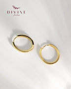 Silver earrings 217
