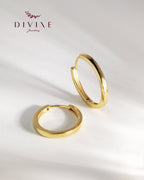 Silver earrings 217