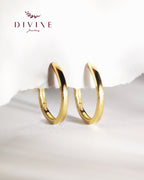 Silver earrings 217