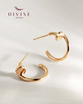 Silver earrings 215