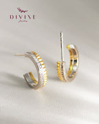 Silver earrings 219
