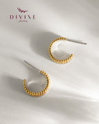 Silver earrings 219