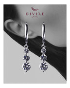 Silver earrings 225