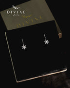 Silver earrings 227