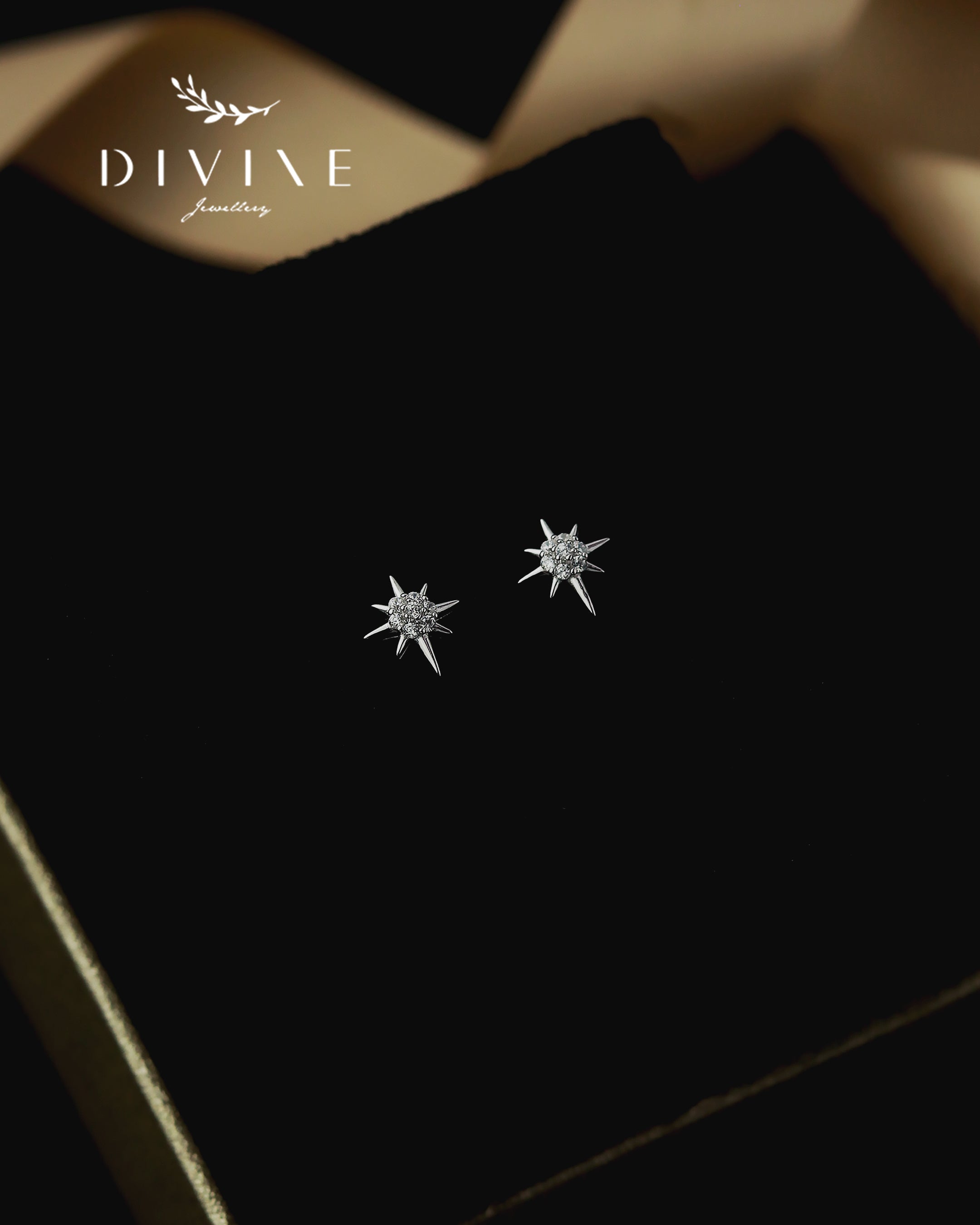 Silver Piercing Earrings 017