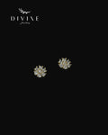 Silver Piercing Earrings 016
