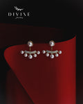 Silver earrings 321