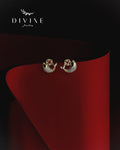Silver earrings 324