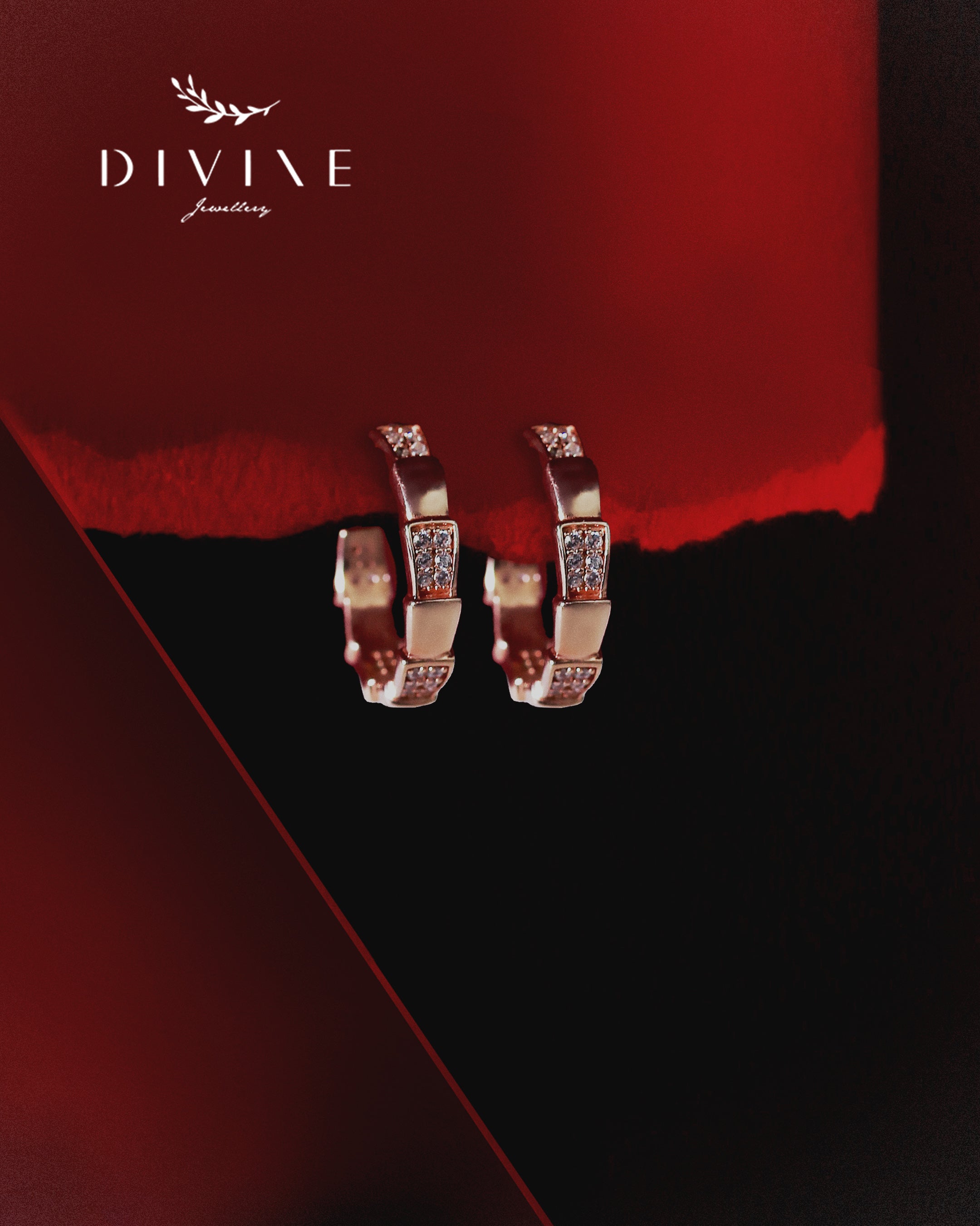 Silver earrings 348