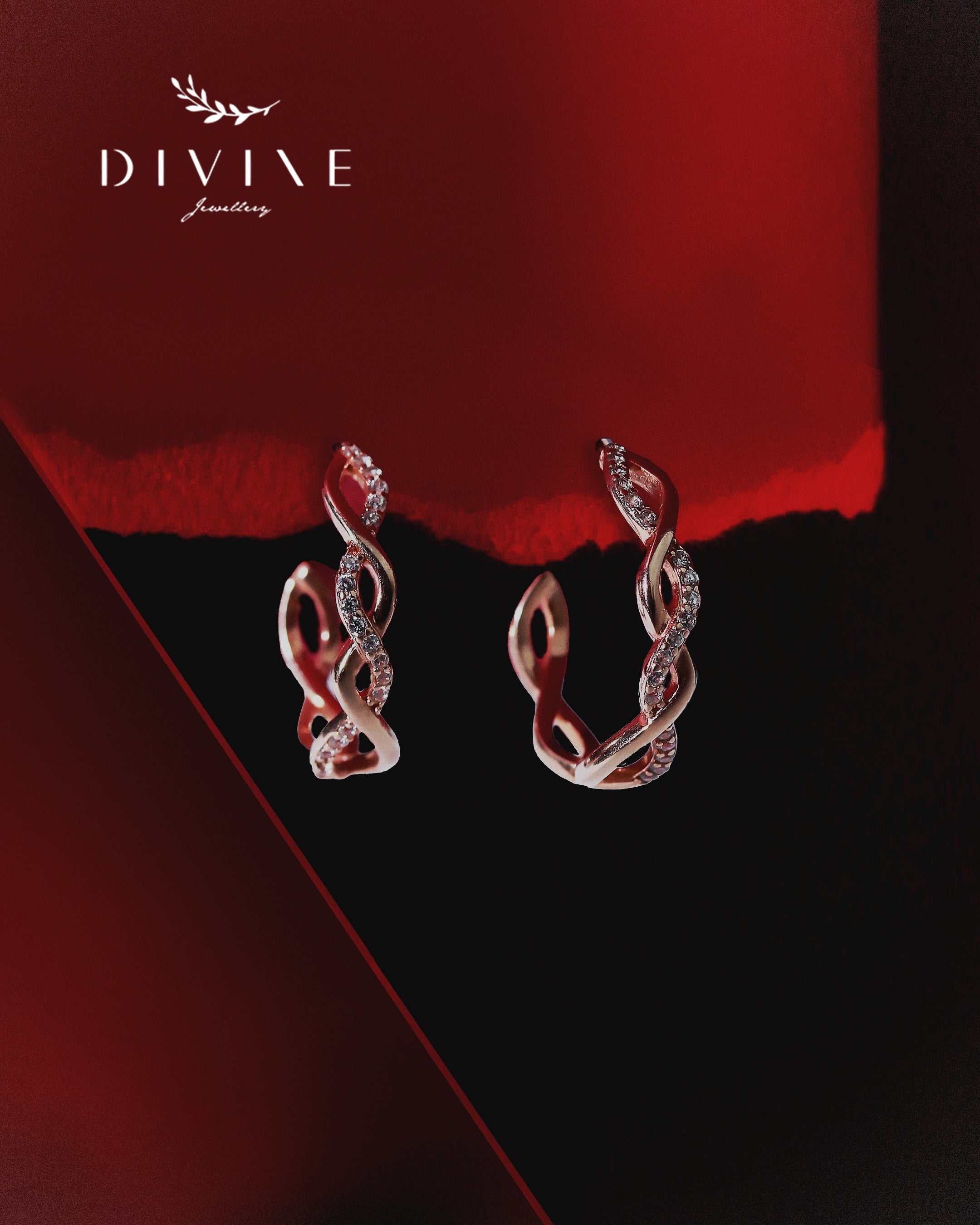 Silver earrings 350