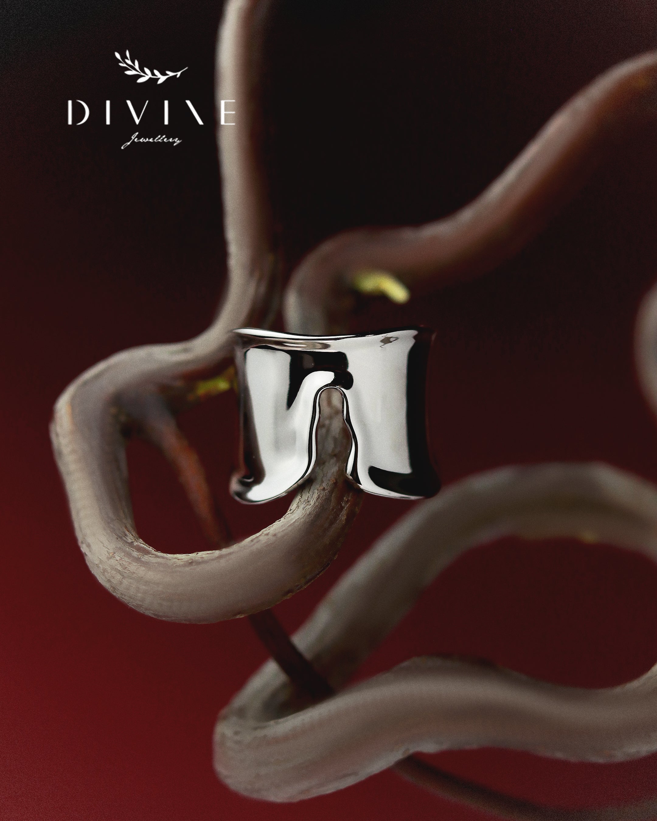 Silver Ring 138