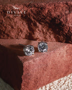 Silver earrings 413