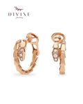 Silver earrings 210